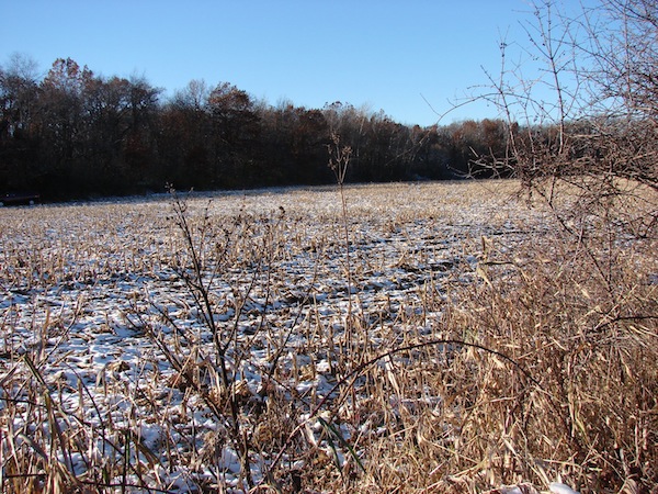 Woods and fields where the Bray Road Beast is said to roam.