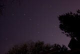 Ursa Major | Zocalo Public Square • Arizona State University • Smithsonian