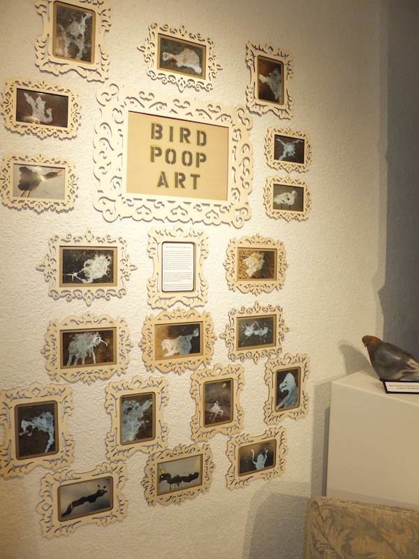 Bird Poop Art