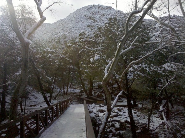 paulina pineda madera canyon2