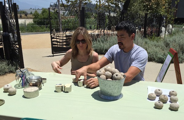 Participants select seeds for their bombs.
