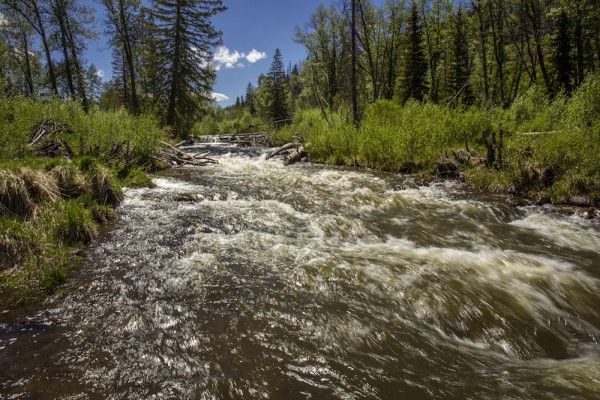Yampa River, Colorado
