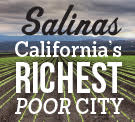 Salinas bug