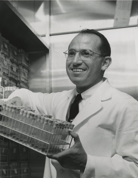Jonas Salk in his laboratory, 1954.