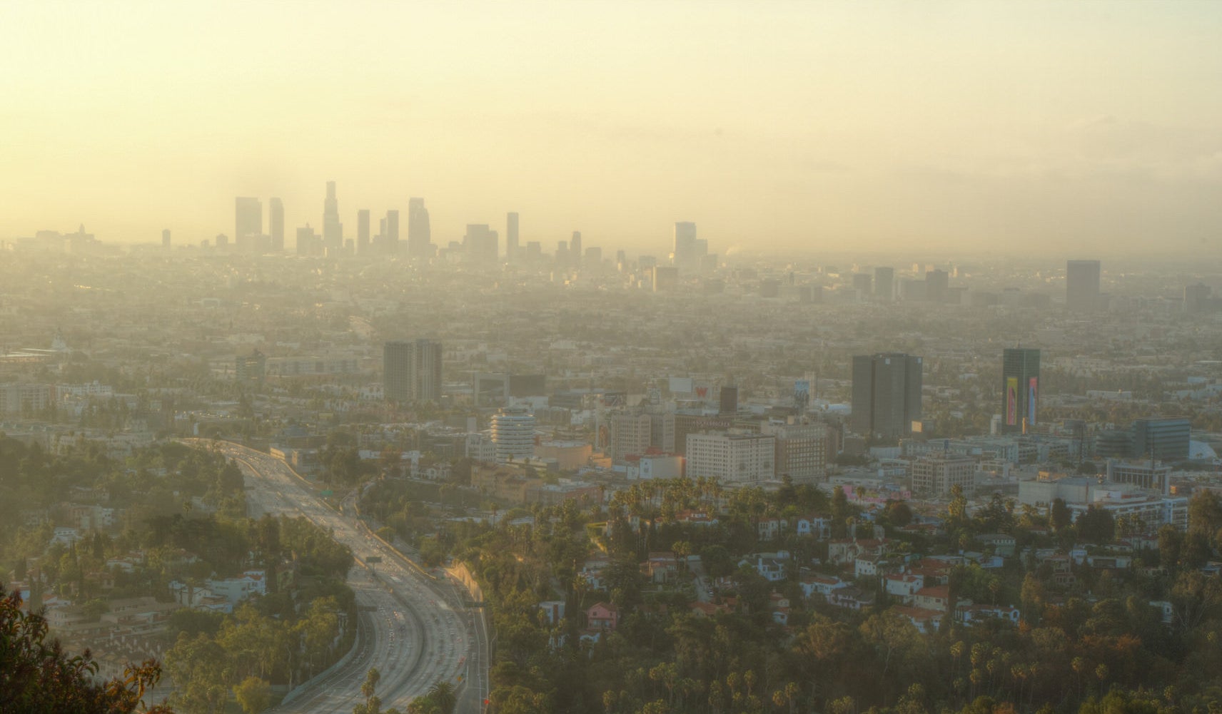 How Angelenos Beat Back Smog