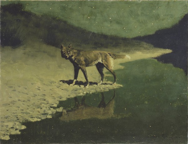 Moonlight, Wolf, ca. 1909, oil on canvas, by Frederick Remington. Addison Gallery of American Art, Phillips Academy, Andover, Massachusetts; Gift of the members of the Phillips Academy Board of Trustees