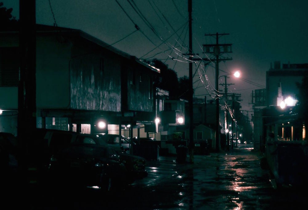 The Slimy Underworld That Emerges After the Rain