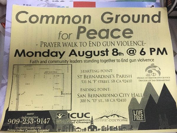 2-interior-image-dolan-on-walking-to-end-gun-violence-rotated-600