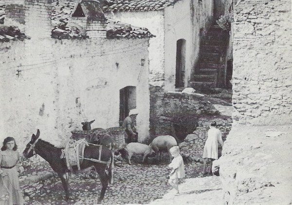 Chiaromonte in 1954-1955.