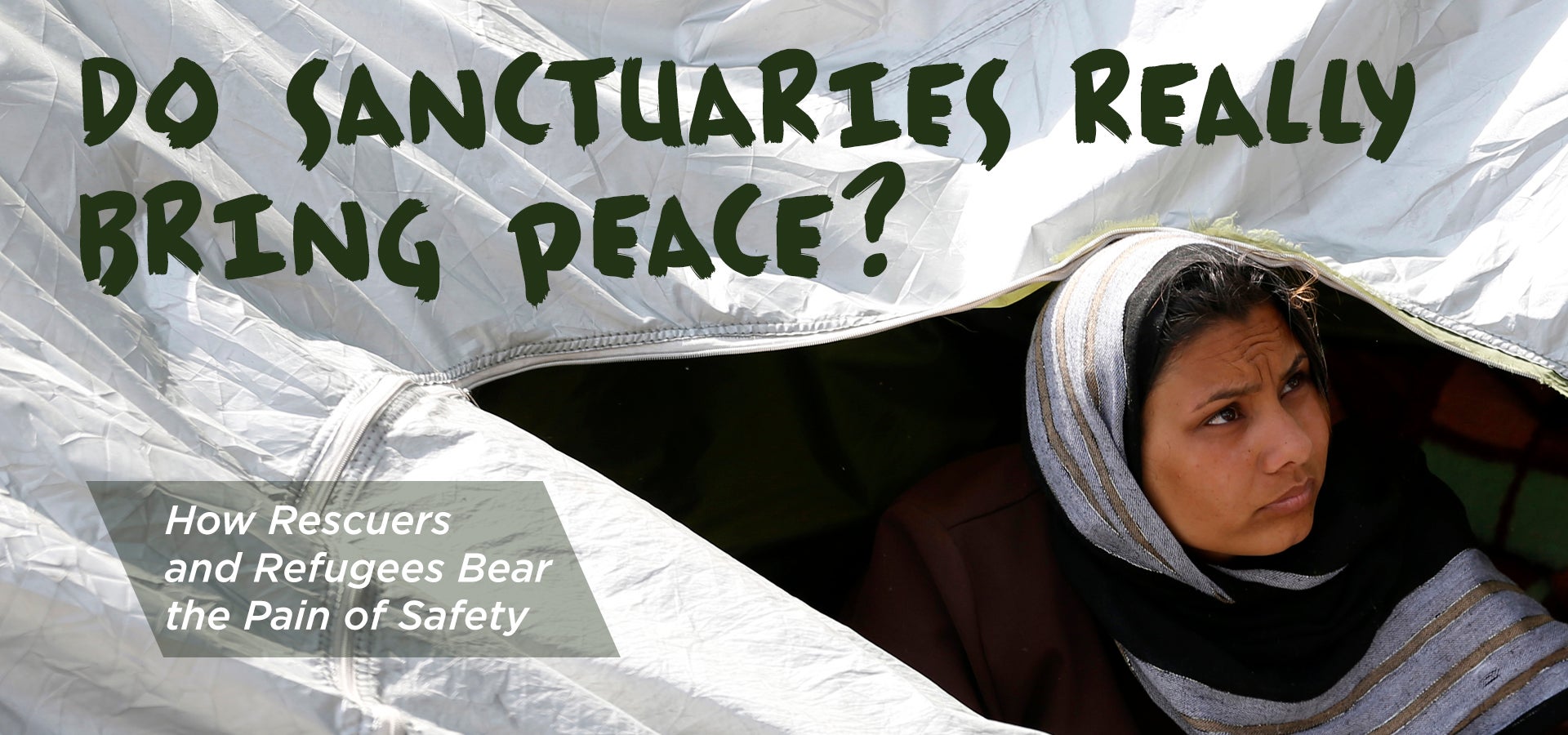 Do Sanctuaries Really Bring Peace?