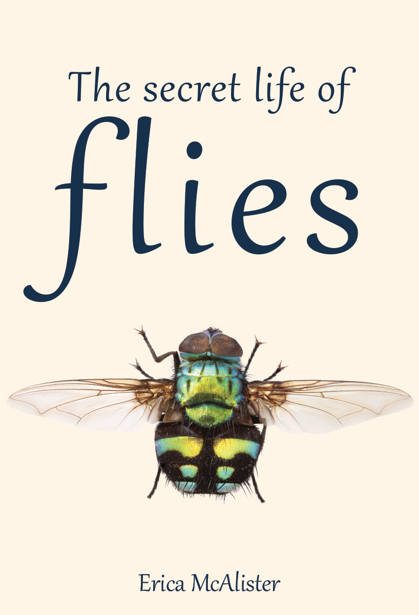 The Secret Lives of Flies