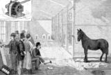 The Dirty Industrial Rivalry That Determined Whether America’s Electricity Would Be AC or DC | Zocalo Public Square • Arizona State University • Smithsonian