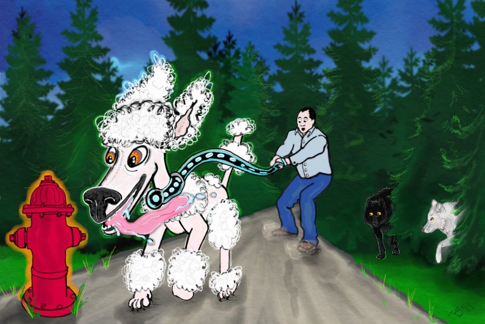 Every Dog Should Run Around and Sniff Gross Things | Zocalo Public Square • Arizona State University • Smithsonian