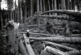 The Long, Violent 1962 Storm That Inspired the Environmental Movement | Zocalo Public Square • Arizona State University • Smithsonian