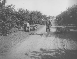 When Police Clamped Down on Southern California’s Japanese-American Bicycling Craze | Zocalo Public Square • Arizona State University • Smithsonian