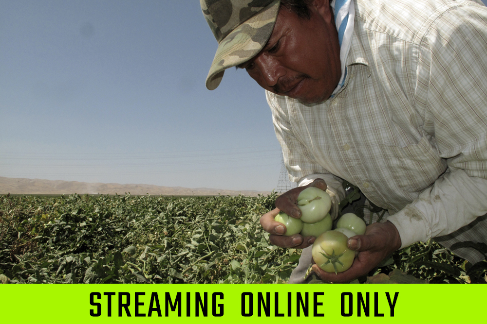 How Can We Make Farm Work Healthier? | Zocalo Public Square • Arizona State University • Smithsonian