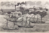 When ‘Codfish Fever’ Swept San Francisco  | Zocalo Public Square • Arizona State University • Smithsonian
