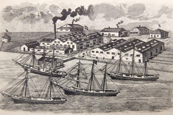 When ‘Codfish Fever’ Swept San Francisco  | Zocalo Public Square • Arizona State University • Smithsonian