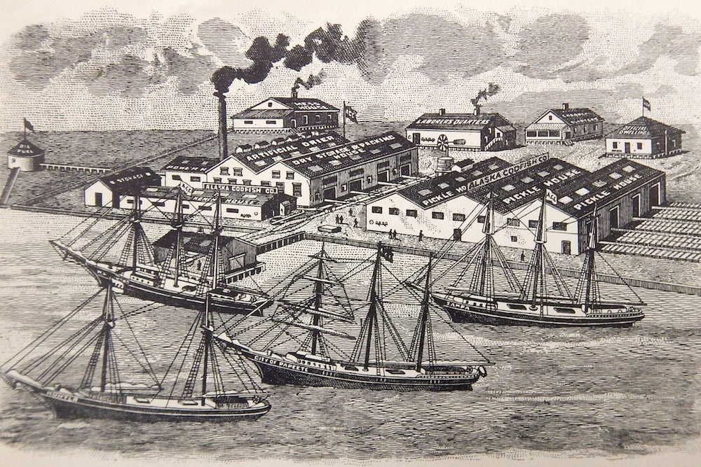 When ‘Codfish Fever’ Swept San Francisco | Zocalo Public Square • Arizona State University • Smithsonian