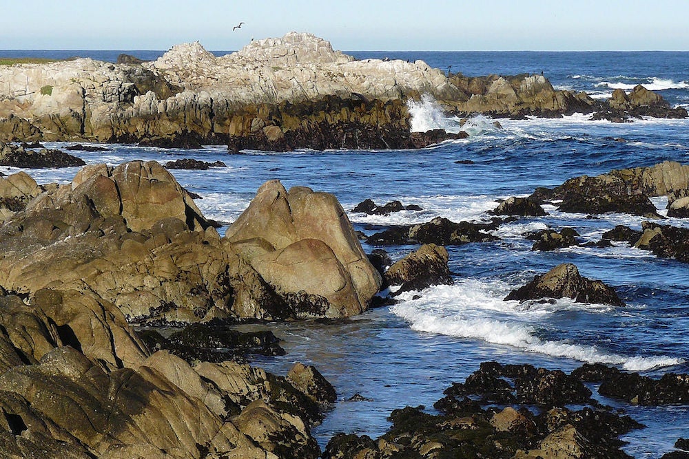 Quarantine Me at Asilomar! | Zocalo Public Square • Arizona State University • Smithsonian