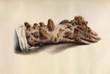 Leprosy Demonstrates How Fears of Disease Spread—and Then Live Forever | Zocalo Public Square • Arizona State University • Smithsonian
