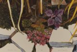 A Letter From Sacramento, Where Fear Grows as Flowers Bloom | Zocalo Public Square • Arizona State University • Smithsonian