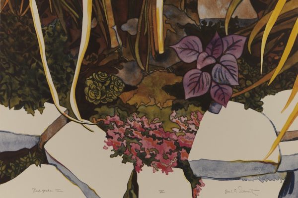A Letter From Sacramento, Where Fear Grows as Flowers Bloom | Zocalo Public Square • Arizona State University • Smithsonian