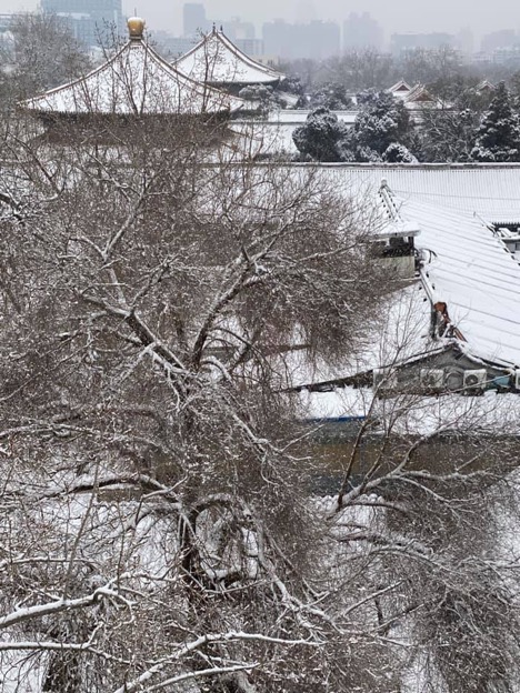 A Letter From Beijing, Where There Is No Normal to Go Back to | Zocalo Public Square • Arizona State University • Smithsonian