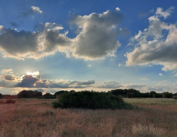 Where I Go<span class="colon">:</span> From Northeast London Back to Duluth | Zocalo Public Square • Arizona State University • Smithsonian