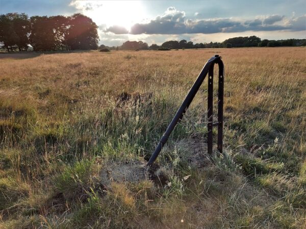 Where I Go<span class="colon">:</span> From Northeast London Back to Duluth | Zocalo Public Square • Arizona State University • Smithsonian