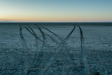 Where Tulare Lake Once Was, a New Telling of California’s History | Zocalo Public Square • Arizona State University • Smithsonian
