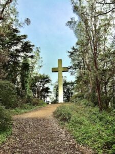 Where I Go<span class="colon">:</span> Atop San Francisco’s ‘Redwood Empire’ | Zocalo Public Square • Arizona State University • Smithsonian
