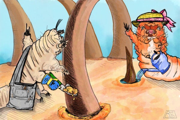 How Quarantine Has Turned Us Into Gardeners of Our Bodies’ Ancient Microbial Wilderness | Zocalo Public Square • Arizona State University • Smithsonian