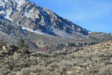 California’s Eastern Sierra Reminds Us There’s Life After Disaster | Zocalo Public Square • Arizona State University • Smithsonian