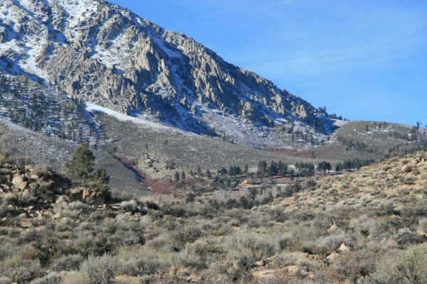 California’s Eastern Sierra Reminds Us There’s Life After Disaster | Zocalo Public Square • Arizona State University • Smithsonian