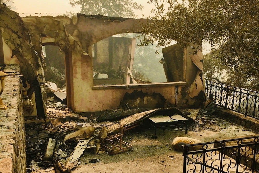 A Letter From Napa Valley, Where Love Burns Hotter Than Fire | Zocalo Public Square • Arizona State University • Smithsonian