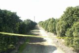 California’s Unincorporated Places Can Be Poor, Powerless—And the Perfect Place to Commit Murder | Zocalo Public Square • Arizona State University • Smithsonian