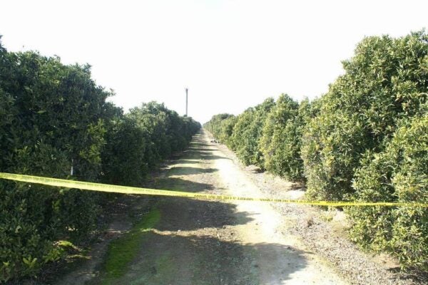 California’s Unincorporated Places Can Be Poor, Powerless—And the Perfect Place to Commit Murder | Zocalo Public Square • Arizona State University • Smithsonian