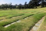 Contemplating the COVID Carnage at California’s Most Historic Cemetery | Zocalo Public Square • Arizona State University • Smithsonian