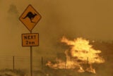 Understanding the History of Fire Can Help Us Fight Today’s Biggest Blazes | Zocalo Public Square • Arizona State University • Smithsonian