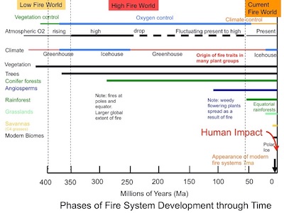 Understanding the History of Fire Can Help Us Fight Today’s Biggest Blazes | Zocalo Public Square • Arizona State University • Smithsonian