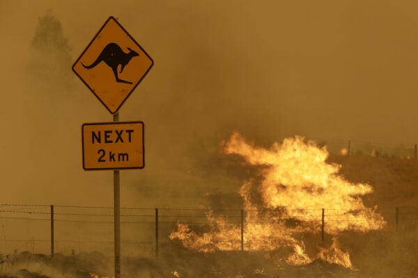 Understanding the History of Fire Can Help Us Fight Today’s Biggest Blazes | Zocalo Public Square • Arizona State University • Smithsonian