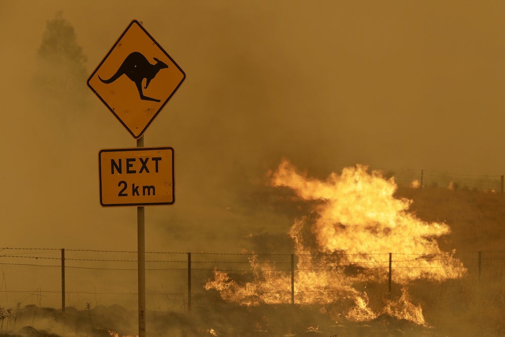 Understanding the History of Fire Can Help Us Fight Today’s Biggest Blazes | Zocalo Public Square • Arizona State University • Smithsonian