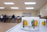 What the Remarkable Transformation of One Georgia County Means for America | Zocalo Public Square • Arizona State University • Smithsonian