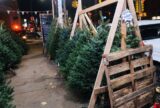 The Street Vendors Who Make Christmas for New York City | Zocalo Public Square • Arizona State University • Smithsonian