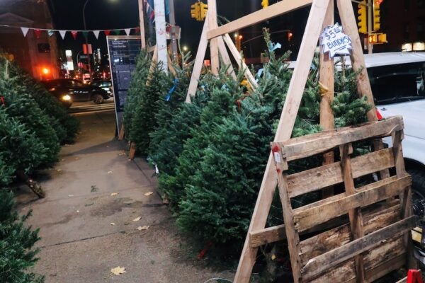 The Street Vendors Who Make Christmas for New York City | Zocalo Public Square • Arizona State University • Smithsonian