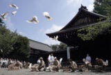 The Tokyo Shrine That Will Never Find Peace | Zocalo Public Square • Arizona State University • Smithsonian