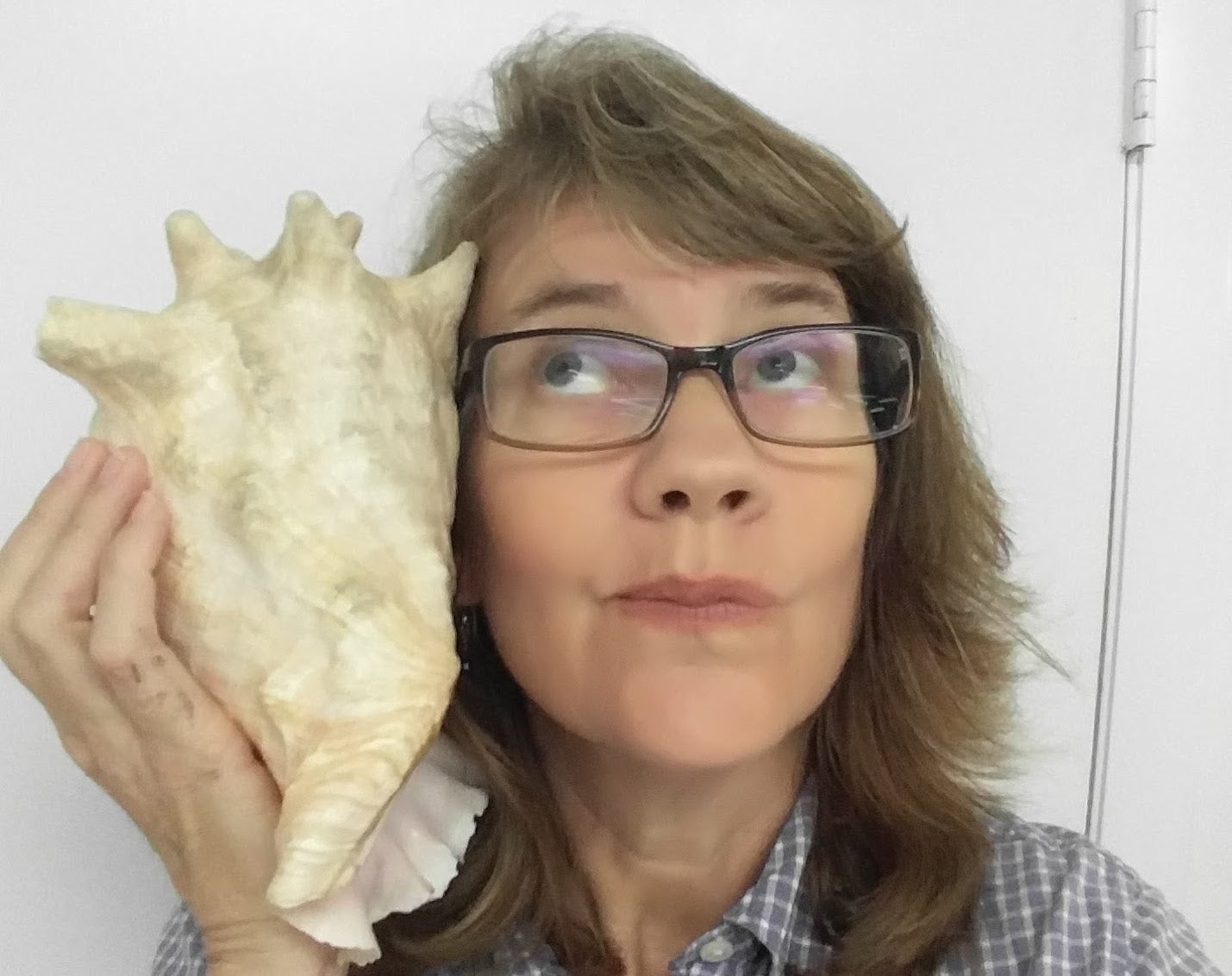 Environmental Journalist Cynthia Barnett | Zocalo Public Square • Arizona State University • Smithsonian