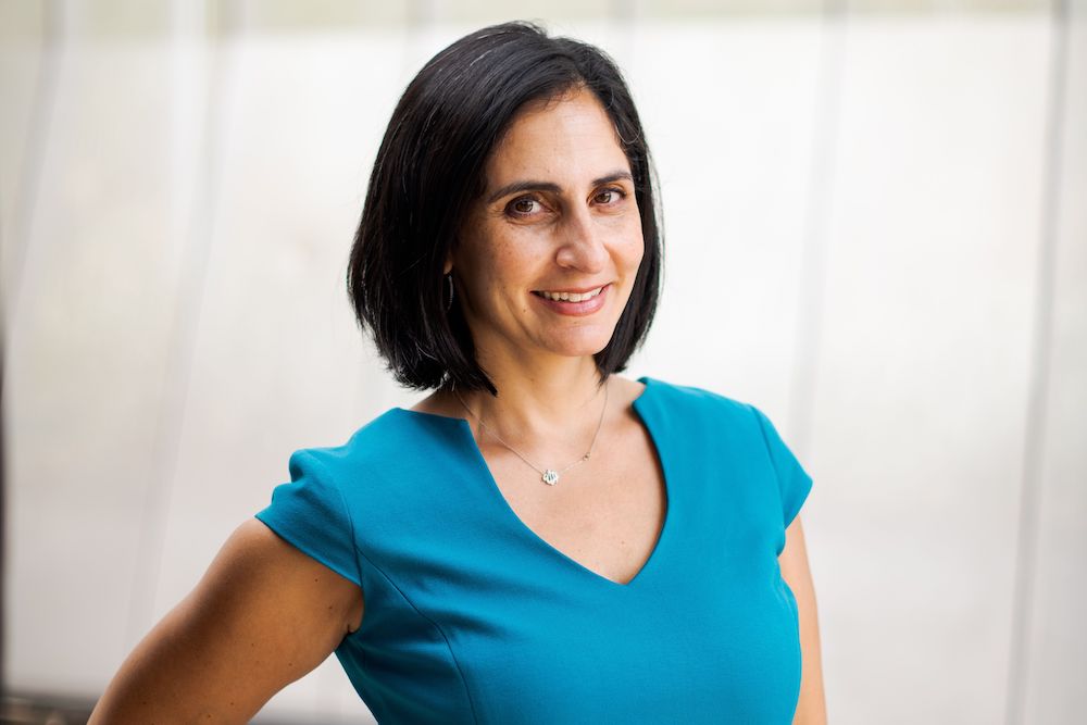 Arizona State University Dean of Social Sciences Pardis Mahdavi | Zocalo Public Square • Arizona State University • Smithsonian