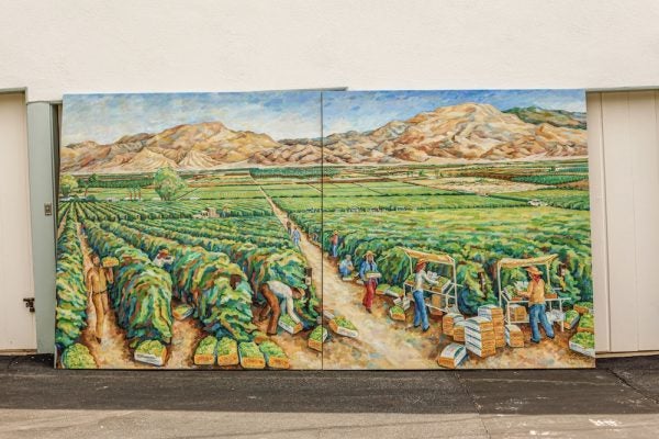 A Mural Once Familiar to Thousands of Farm Workers Comes Home to the Coachella Valley | Zocalo Public Square • Arizona State University • Smithsonian